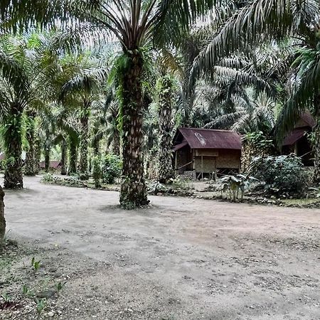 Sahom Valley Resort Jeram  エクステリア 写真