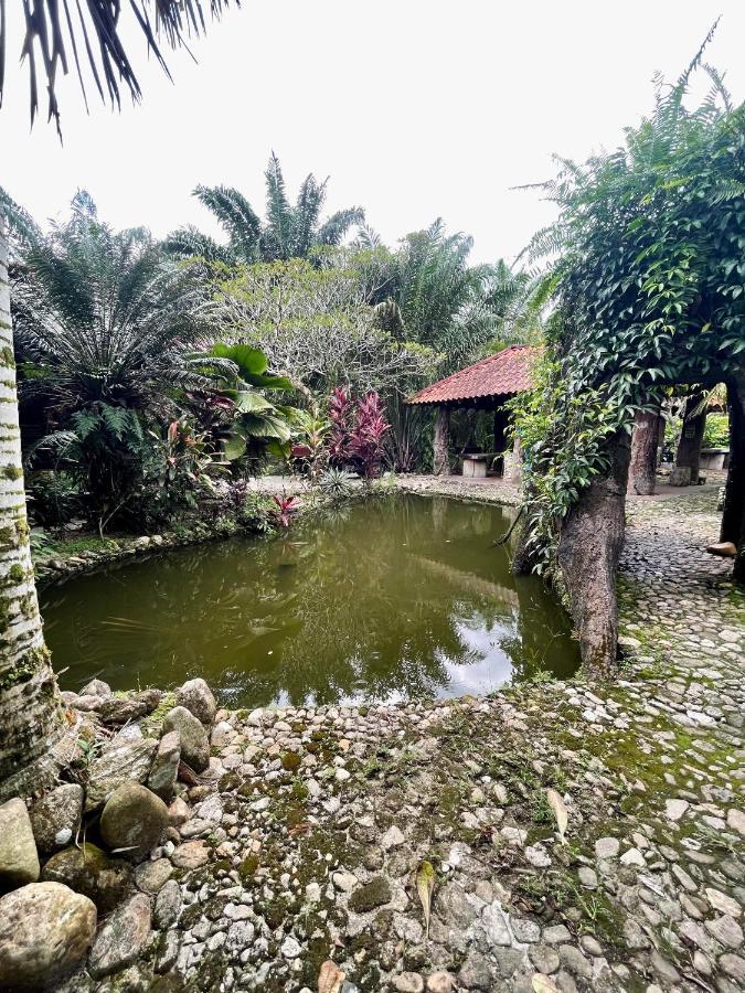 Sahom Valley Resort Jeram  エクステリア 写真